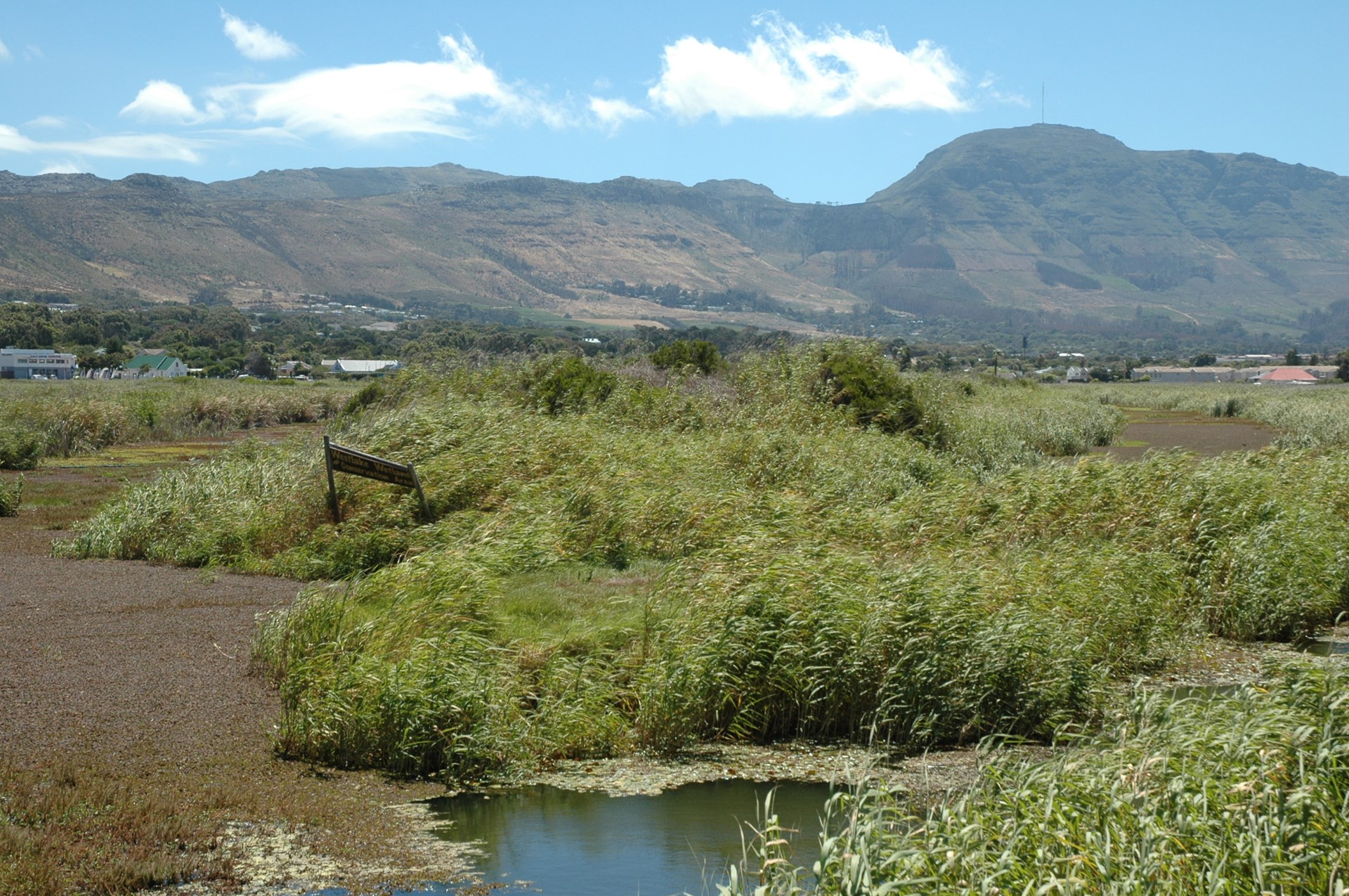 Celebrating World Wetlands Day: Zandvlei leads the way for the City