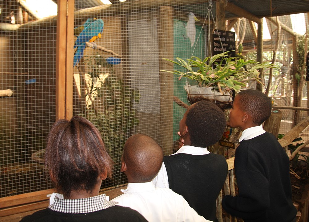 Sunshine and butterflies: a fun day out for pupils
