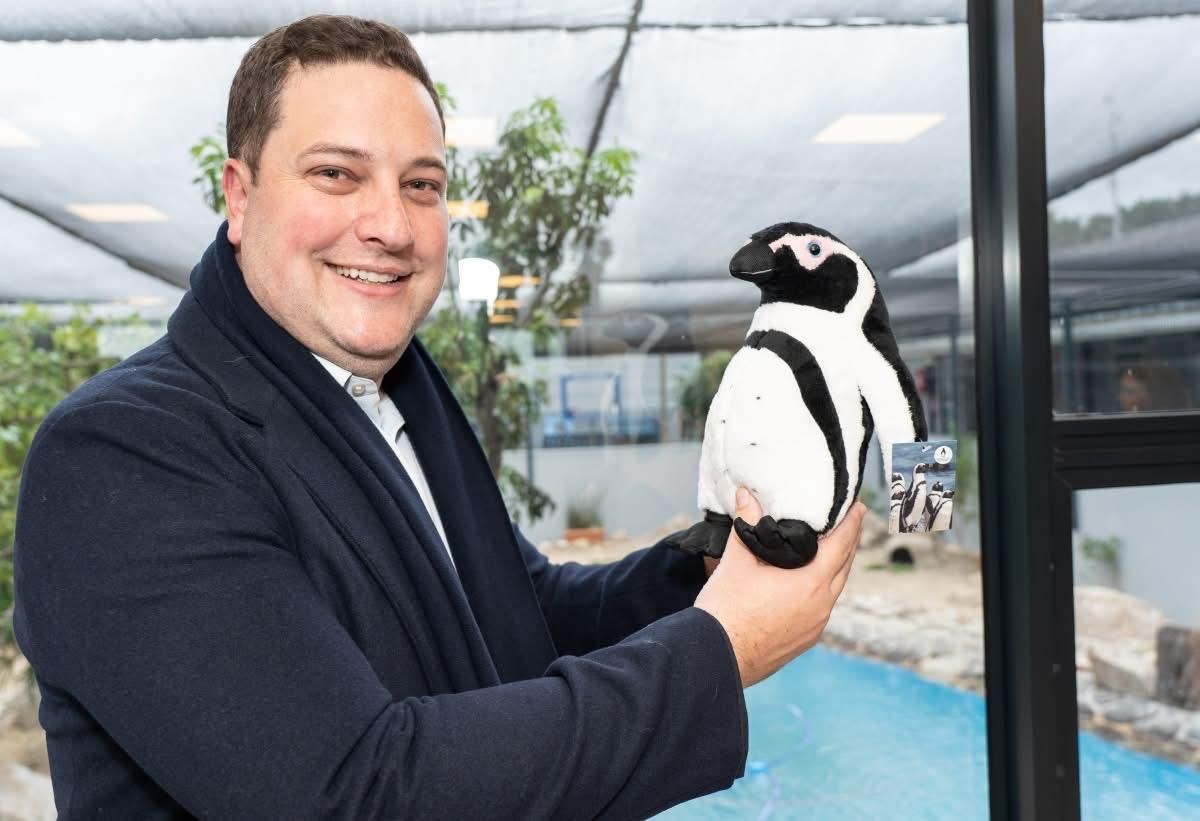 How a Partnership in Cape Town is Helping Safeguard the Future of the African Penguin