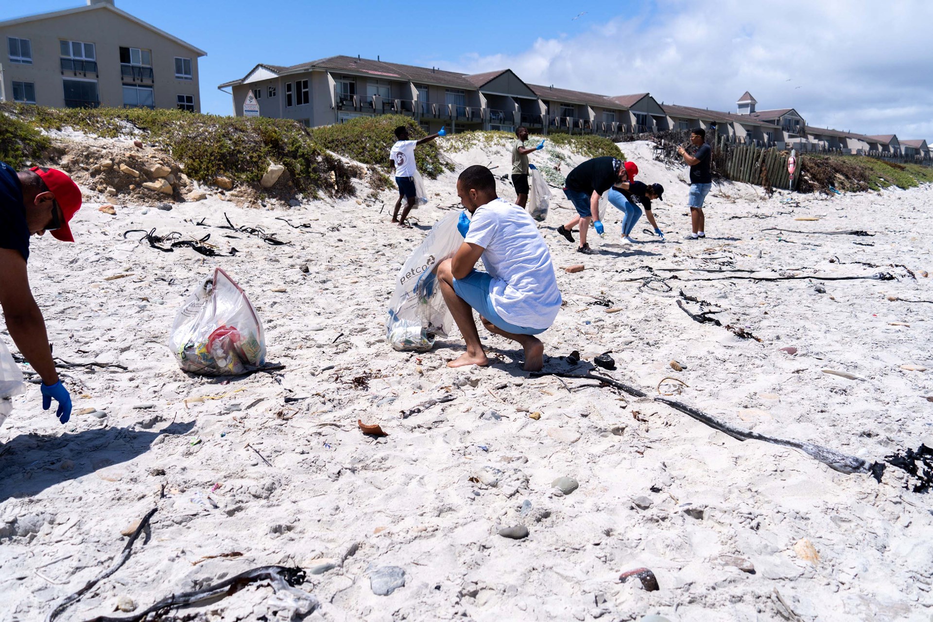 National Marine Week: CCPB Supports Seabird Rescue, Beach Cleanups