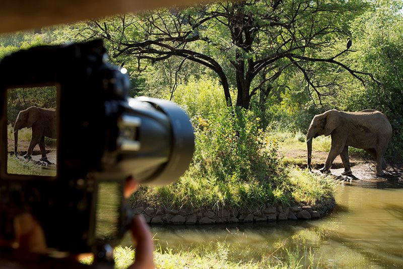 Elephant Point Game Lodge