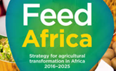 Feed Africa